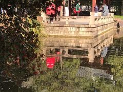 -秋霞圃
