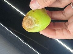 -亦辰亦美·泡澡 SPA 足浴 按摩公馆(牛王庙店)