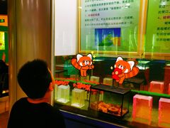 -上海昆虫博物馆