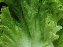 -汉拿山(包河万达店)