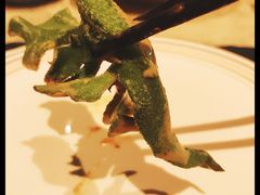 -T館·花园艺术餐厅