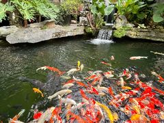 -新世纪大酒楼·30年南海菜