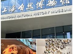 -上海静安香格里拉大酒店