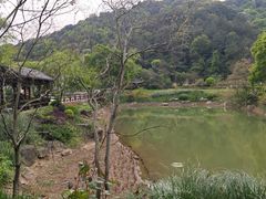 -黄公望隐居地