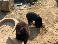-无锡动物园·太湖欢乐园