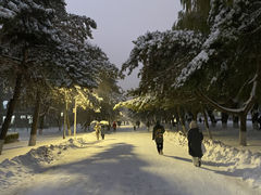 -东北大学(南湖校区)