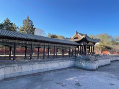 -善化寺