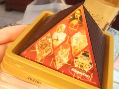 -哈根达斯(国瑞店)
