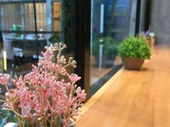 -石炮台果汁冰(天河店)