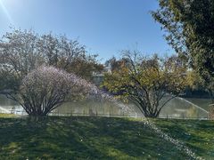 -春晖园度假酒店温泉