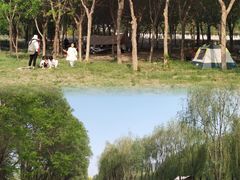 -东坝千亩湖公园