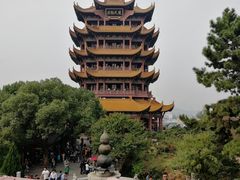 -田园小观园(武大店)