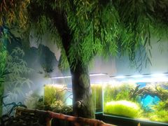 -沈阳海洋探索中心