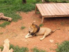 -昆明动物园