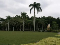 -万绿园