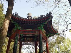 -宣武艺园