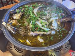 -蜀香三绝·牛蛙·烤鱼·天府炒鸡(安丘泰华店)