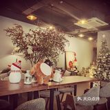 第一次探店献给了咖法森林！