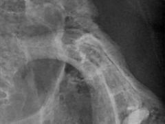 -惠康宠物医院(华能路店)