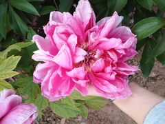 -河南省黄河迎宾馆