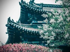 -碑林公园
