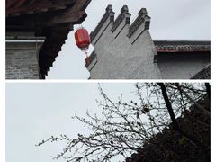 -水绘园