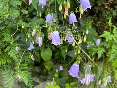 -北京西山国家森林公园