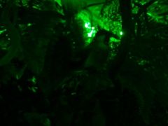 -MOJO密室逃脱(中街旗舰店)