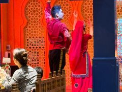 -双公羊·馕坑烤全羊(奥体店)