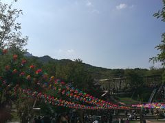 -欢乐松鼠谷