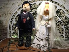 -济州岛泰迪熊博物馆