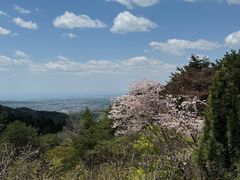 -神户市立六甲山牧场