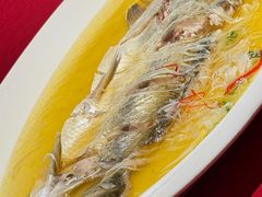 太湖大白鱼-淮扬府(安定门店)