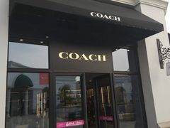 -COACH蔻驰(百联奥特莱斯广场店)