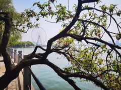 -无锡蠡湖国家湿地公园-蠡园