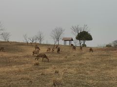 -良渚古城遗址公园