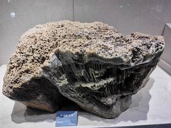 -安徽省地质博物馆