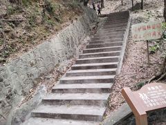 -滴水岩森林公园