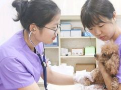 -瑞派康怡24h宠物医院·犬猫医疗中心·微创绝育(瑞景分院)