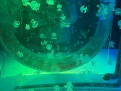 -常州海昌海洋探索馆