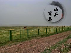 -山丹皇家马场