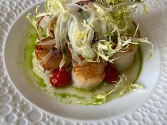 -蝶舍·MAISON PAPILLON