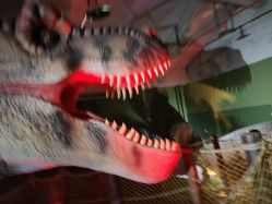 -恐龙探索乐园(磁器口店)