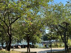 -飞来湖湿地公园