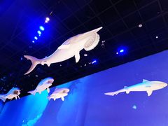 -贝林大翅鲸简餐厅(国家海洋博物馆店)