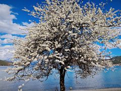 -丽江泸沽湖景区