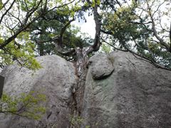 -安徽天堂寨风景区