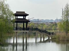 -洋湖国家湿地公园