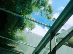 -同济大学四平路校区游泳馆