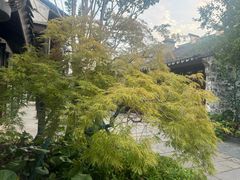 -巡塘古镇